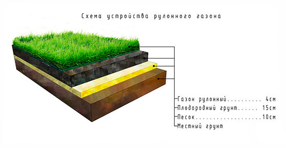 Схема слоев рулонного газона